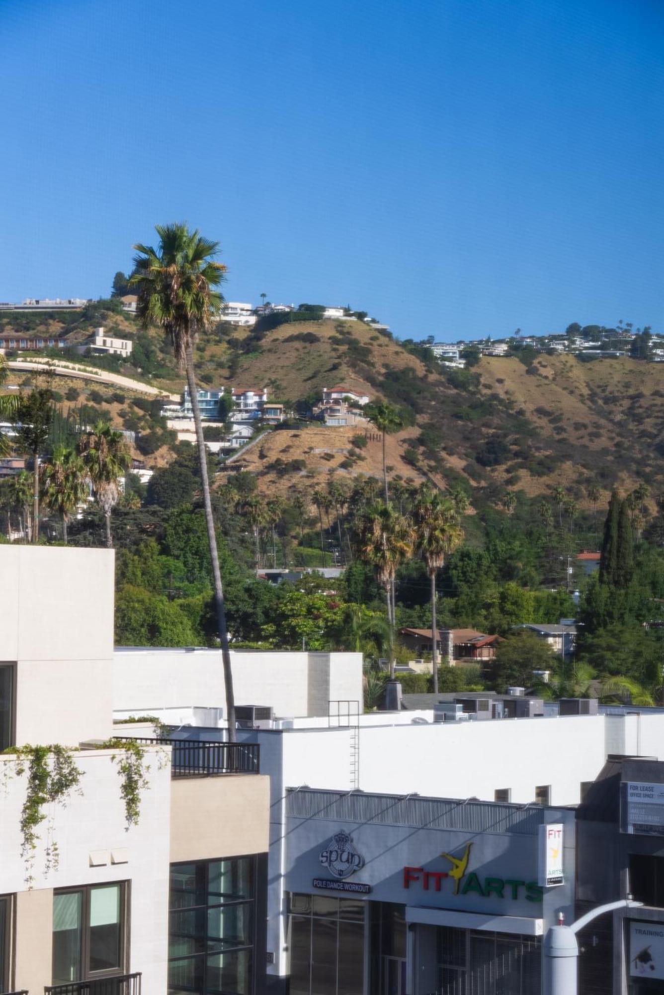 Bright Studio On Sunset Blvd, Free Parking, Gym, And Pool Los Angeles Eksteriør billede